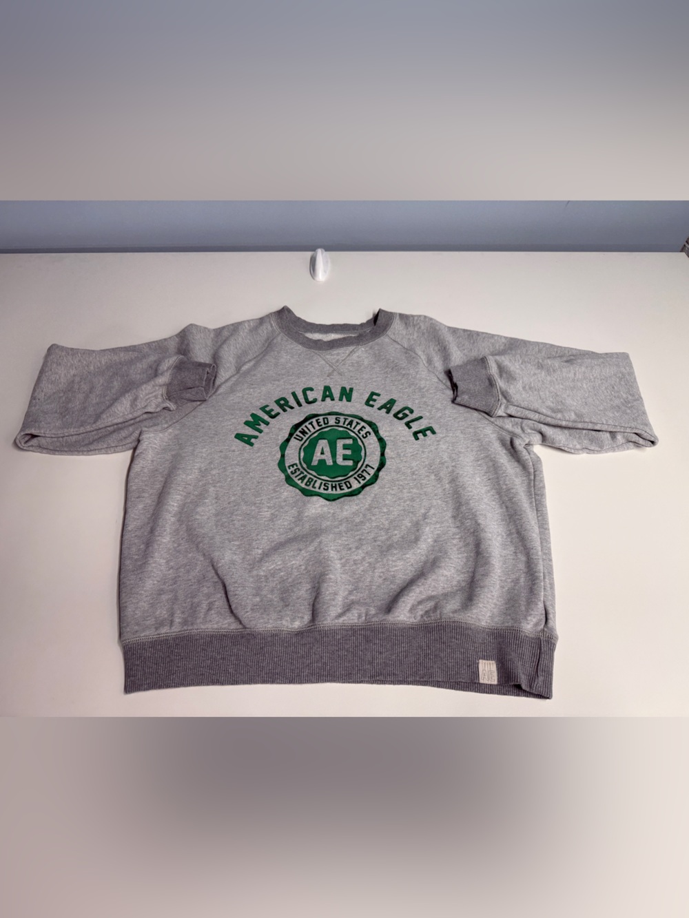 American Eagle Outfitters Grey Sweatshirt with Green Logo